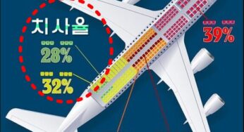 항공기 좌석 위치별 생존 확률