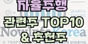 자율주행 관련 주식 및 시장 전망, 관련주 TOP10