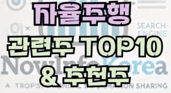 자율주행 관련 주식 및 시장 전망, 관련주 TOP10