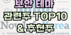 보안 테마 이슈 및 관련주 TOP 10