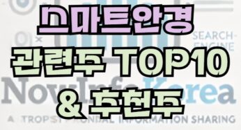 AI 스마트 안경 관련주 및 추천주 TOP 10