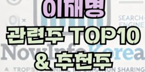 이재명 관련 주식 및 시장 전망, 관련주 TOP10