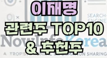 이재명 관련 주식 및 시장 전망, 관련주 TOP10
