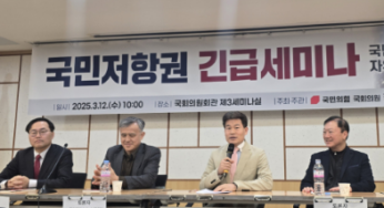 국민저항권 발동 조건과 의미, 역사속 사례