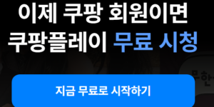 쿠팡플레이