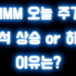HMM 오늘 주가 분석 상승 or 하락 이유는?