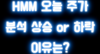 HMM 오늘 주가 분석 상승 or 하락 이유는?