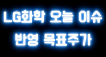 LG화학 오늘 이슈 반영 목표주가