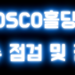 POSCO홀딩스 이슈 점검 및 전망
