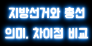 지방선거 총선 차이점