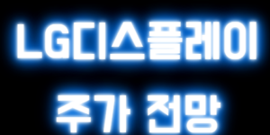디스플레이