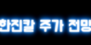 한진칼 주가 전망
