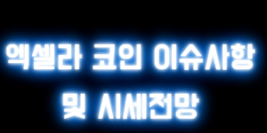 엑셀라 코인