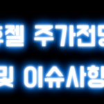 휴젤 주가전망 및 이슈사항