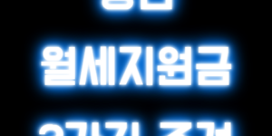 청년월세지원금