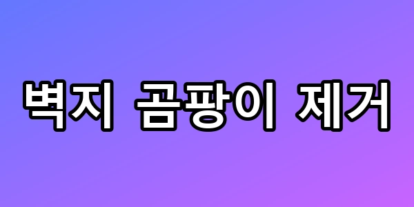 벽지 곰팡이 제거, 겉만 닦으면 200% 재발하는 이유와 해결책 꿀팁