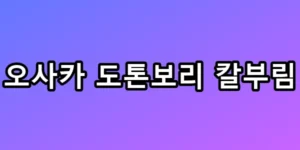 오사카 도톤보리 칼부림, 일본 여행 전 꼭 봐야 할 안전 총정리