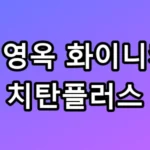 김영옥 화이니카 치탄플러스 잇몸 피 날 때 꿀팁 총정리