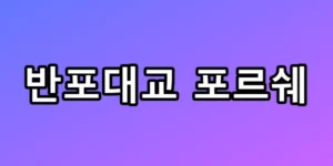 반포대교 포르쉐 추락 사고 인플루언서 정체 총정리