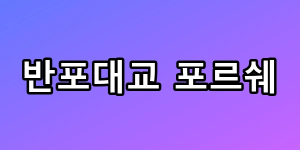 반포대교 포르쉐 추락 사고 인플루언서 정체 총정리
