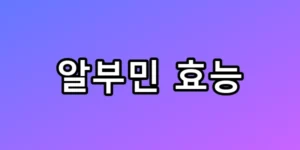 자꾸 붓고 피곤하다면? 알부민 효능 및 먹는법 총정리