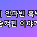 안성기 안다빈
