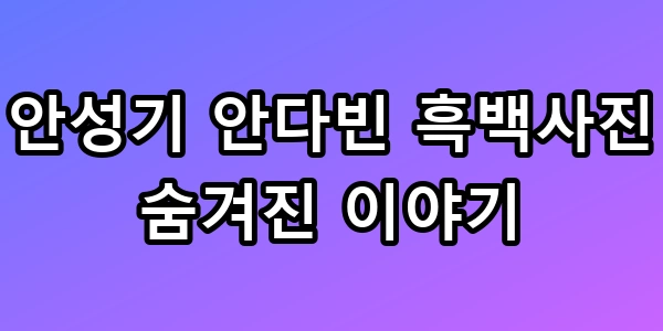 안성기 안다빈