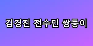 김경진 전수민 쌍둥이, 6년 난임 뚫은 기적의 비결 총정리