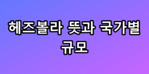 헤즈볼라 뜻과 국가별 규모 숨겨진 화력 총정리
