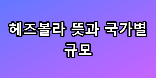 헤즈볼라 뜻과 국가별 규모 숨겨진 화력 총정리