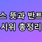 900만 명 집결! 노킹스 뜻과 반트럼프 시위 총정리 꿀팁