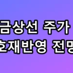 장금상선 주가 및 호재반영 전망 수익 10배 비결 총정리