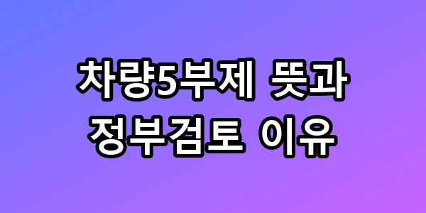 차량5부제 뜻과 정부검토 이유 3차 지원금 총정리