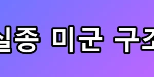 트럼프가 직접 밝힌 실종 미군 구조 작전의 실체