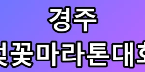 경주 벚꽃마라톤대회 서버 마비 속 재접수 꿀팁 10K 코스 완벽 공략법