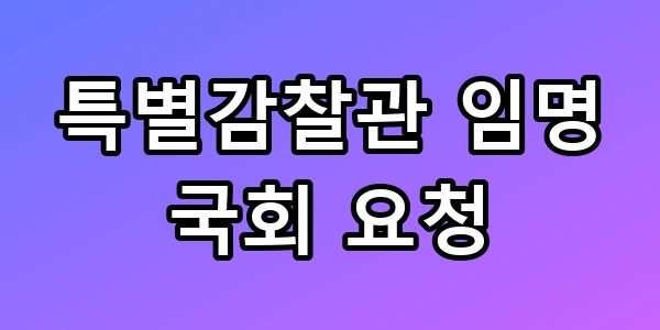 특별감찰관 임명