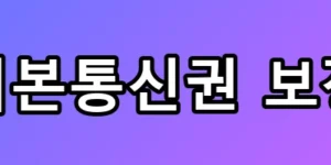 월 2만 원에 무제한? 기본통신권 보장 총정리