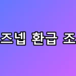 비즈넵 환급 조회, 1조원 뚫린 숨은 세금 내 돈은?