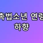 중1도 전과자? 촉법소년 연령 하향 총정리