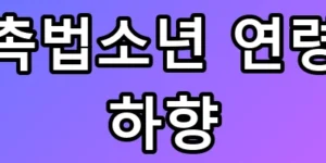 중1도 전과자? 촉법소년 연령 하향 총정리