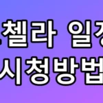 빅뱅·태민 코첼라 일정 및 시청방법 총정리