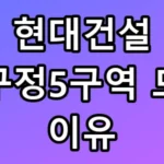 현대건설 압구정5구역 도촬 이유, 볼펜 카메라의 실체