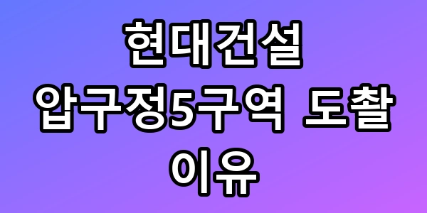현대건설 압구정5구역 도촬 이유, 볼펜 카메라의 실체
