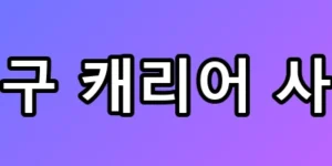 대구 캐리어 사건, 딸 지키려던 장모의 비극적 희생 소름 유발