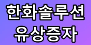 한화솔루션 유상증자, 위기일까 기회일까?