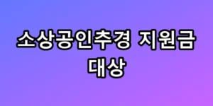 내 돈만 새나? 소상공인추경 지원금 대상 총정리