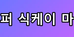 랩퍼 식케이 마약 자수 후 워터밤 복귀? 집행유예 논란 총정리