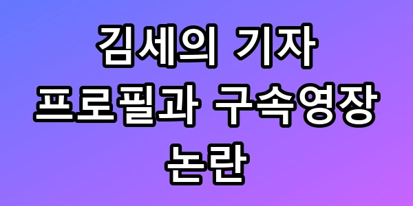 김세의 구속영장