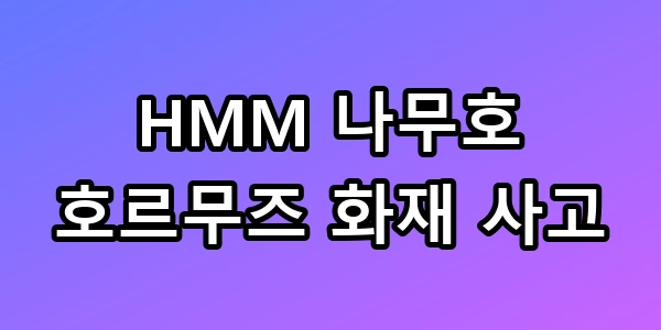 HMM 나무호 화재