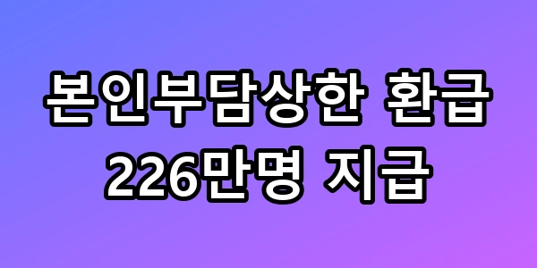 본인부담상한 환급